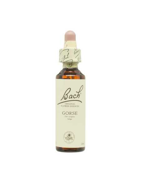 Flor nº 13 Aulaga (gorse) 20ml Bach